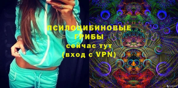 прущий лед Алексин