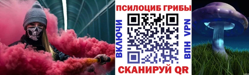 mega вход  Ливны  Псилоцибиновые грибы прущие грибы 