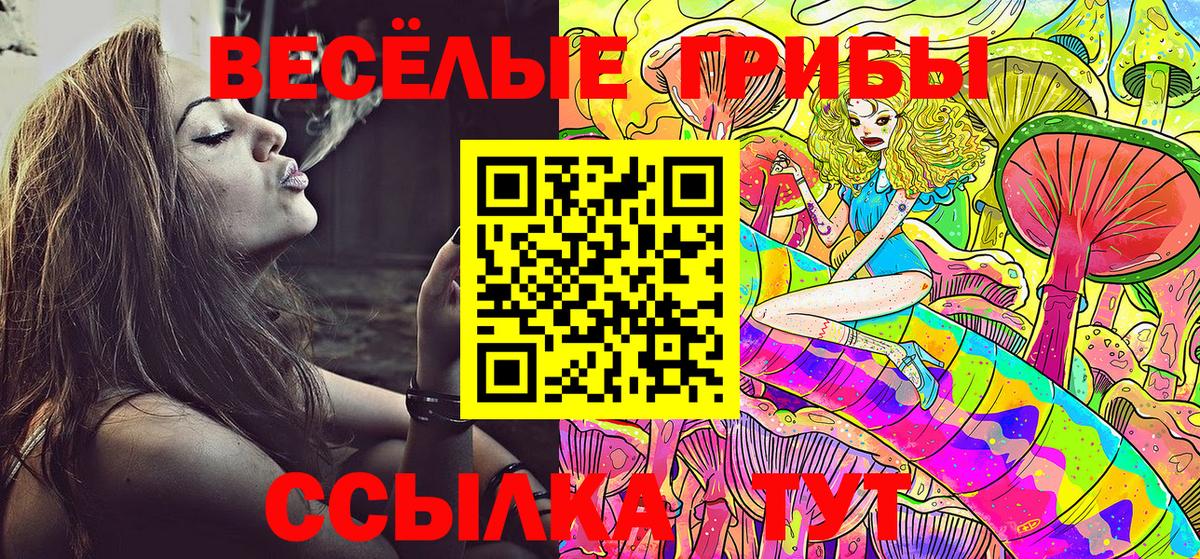Псилоцибиновые грибы прущие грибы  Вход с VPN  сколько стоит  Псилоцибиновые грибы мухоморы  Ливны 